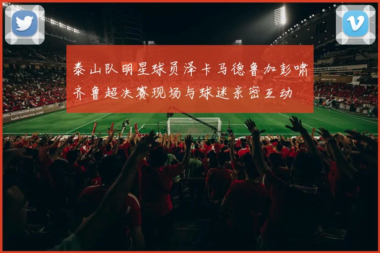 泰山队明星球员泽卡马德鲁加彭啸齐鲁超决赛现场与球迷亲密互动