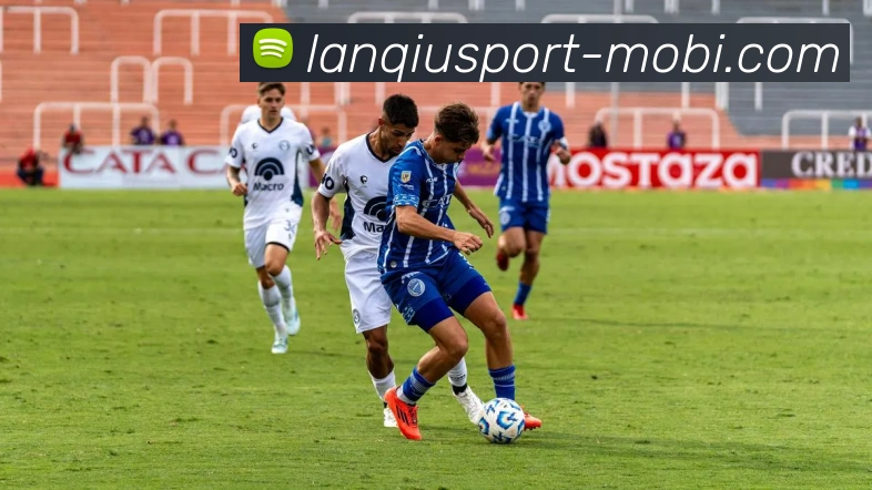 篮球赌注平台生态图